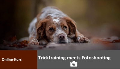Online-Kurs "Tricktraining meets Fotoshooting" - STANDARD Start 04. März 2022